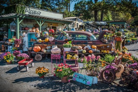 jeremy-fall-30-market