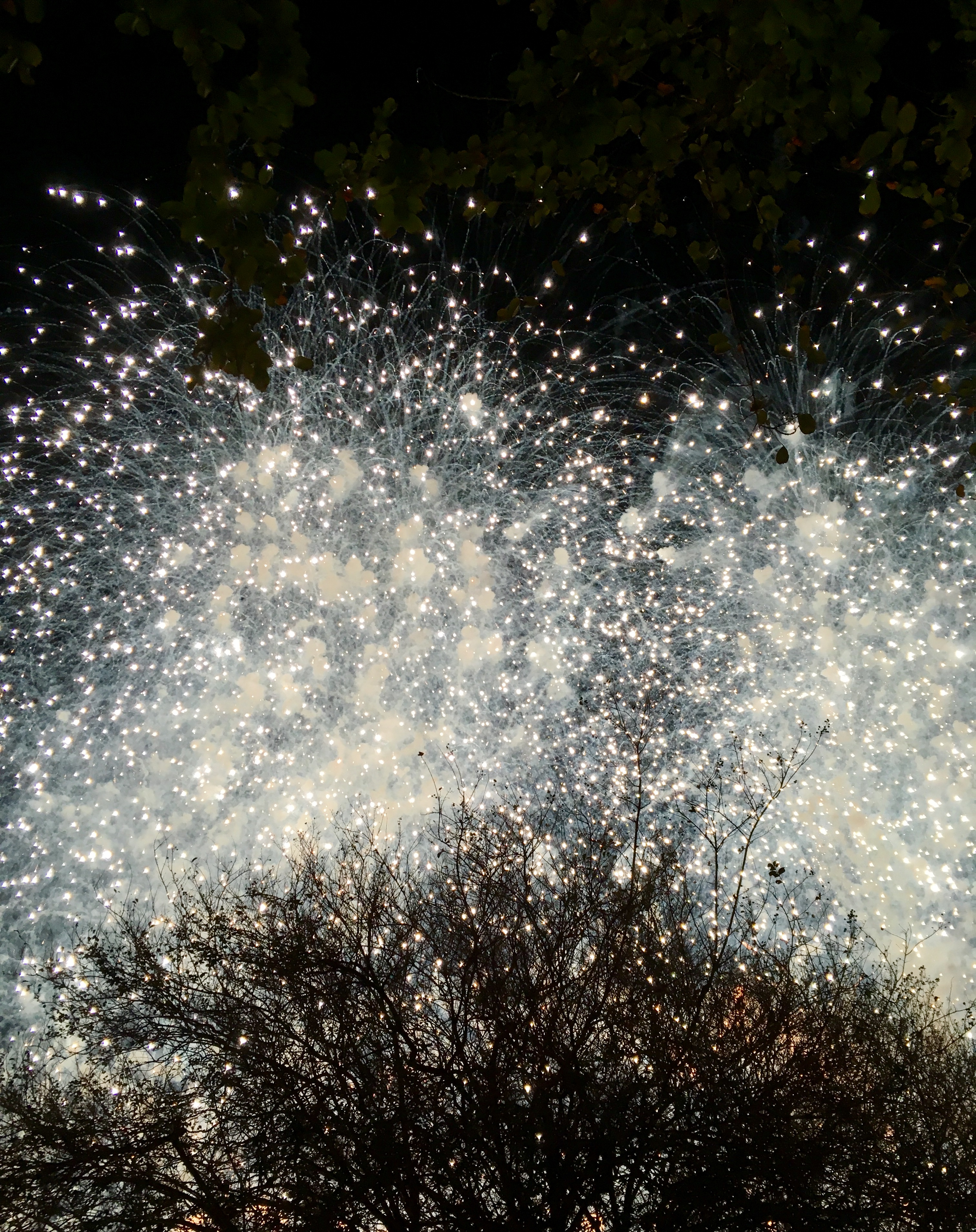 986867AF-CA67-41B2-908A-A73D38812DCE