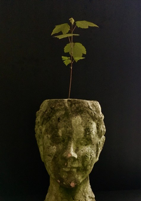 B21EFFCA-536B-4BAF-A5F1-DC5ED4E7390C