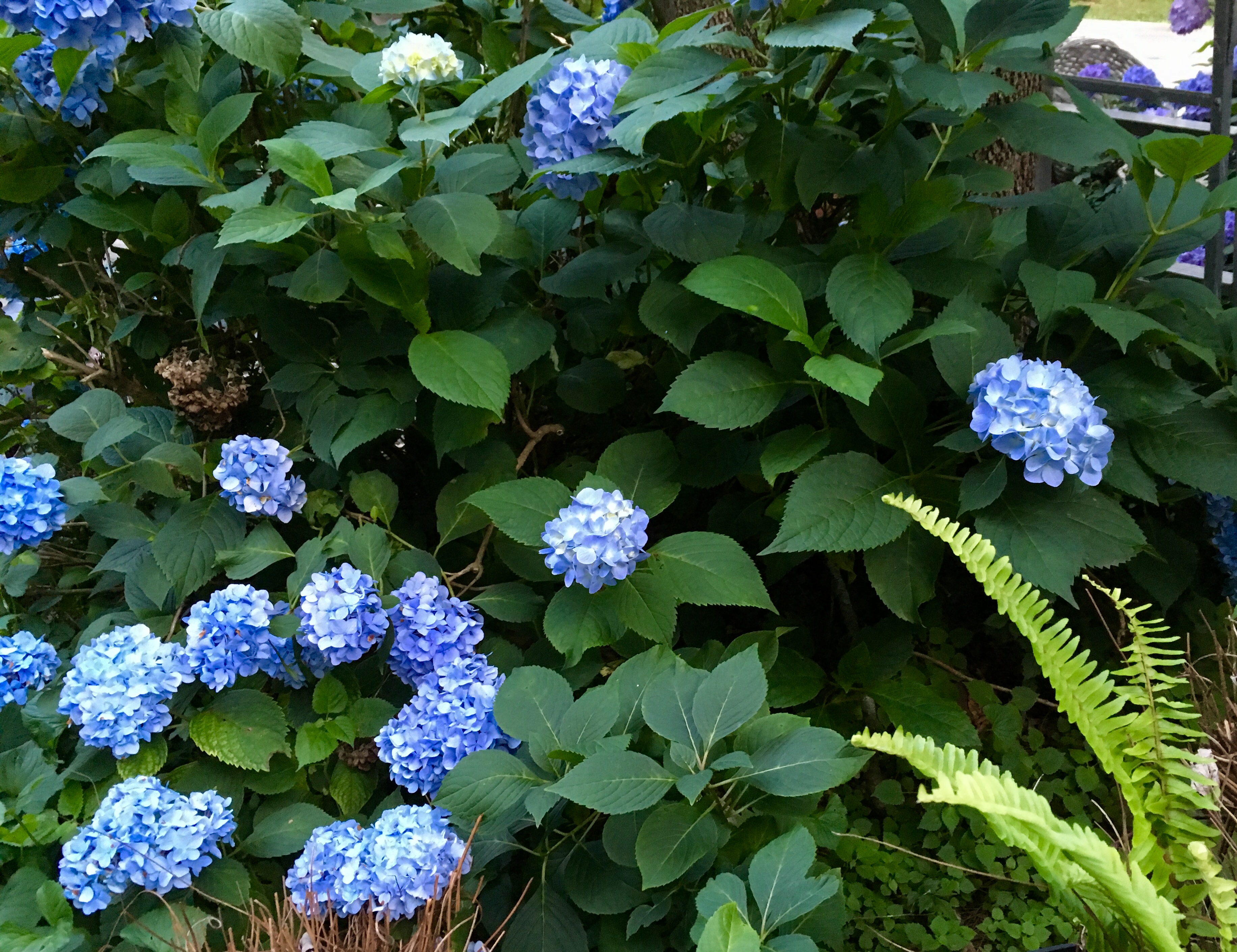 2F91DB41-12F4-4A73-AA67-A60391CE5160