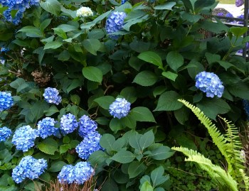 2F91DB41-12F4-4A73-AA67-A60391CE5160