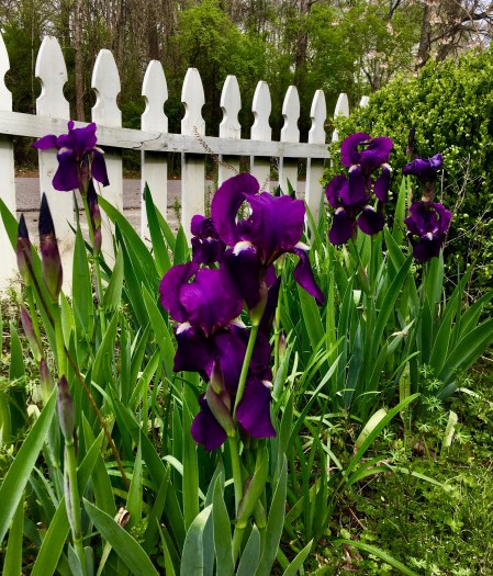 A8A57D14-8713-4E66-BCE4-FDBC60D796B2