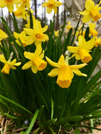 10FF4451-1BCD-467B-A5AF-7B652D5ED689