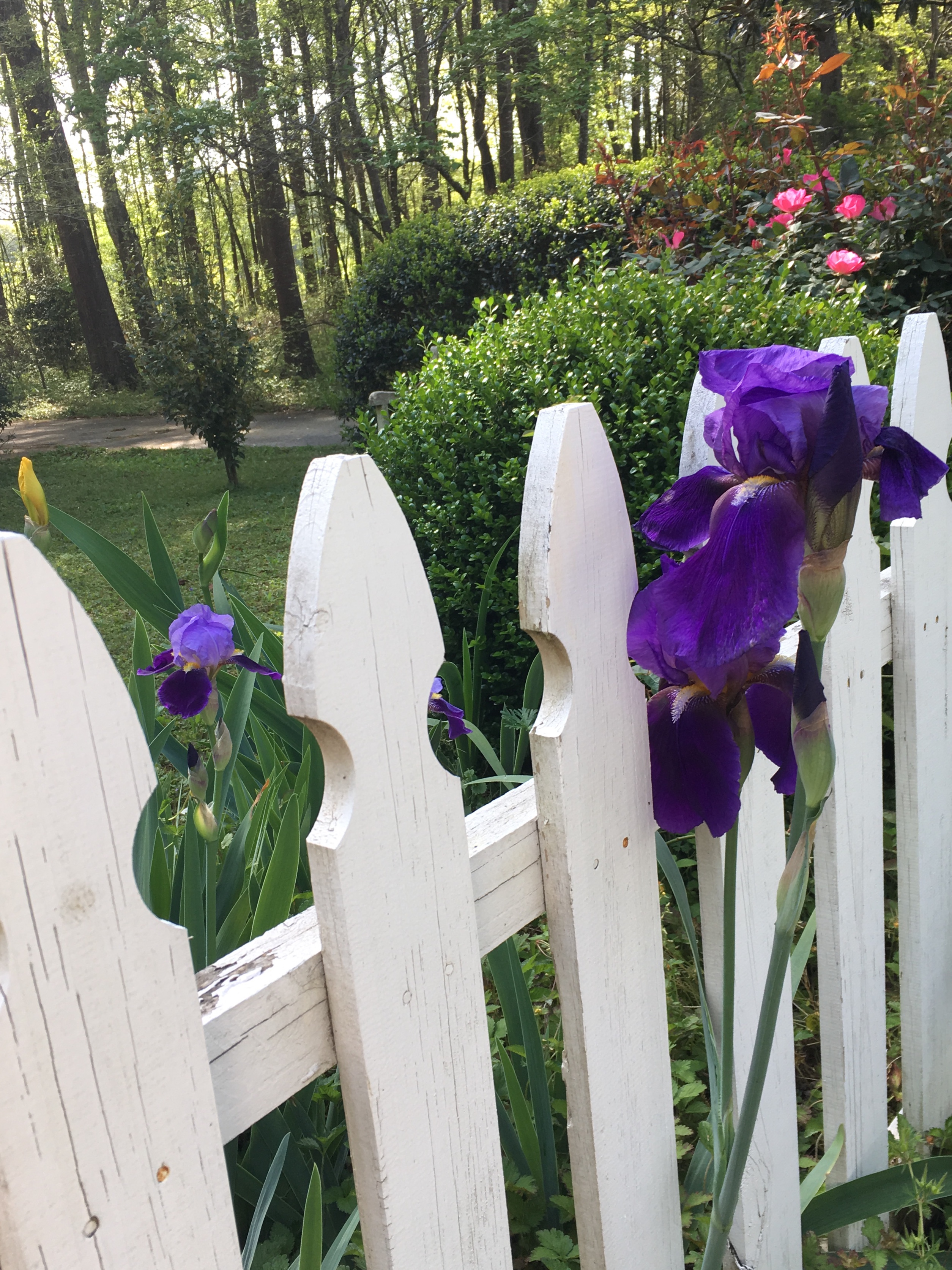 E2A910D2-F038-42C2-830C-21D87D3833BF