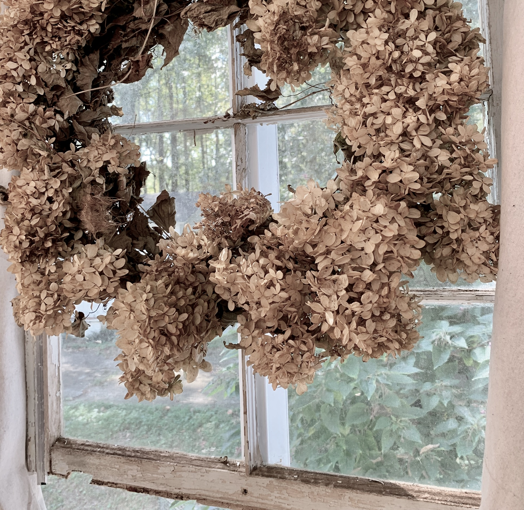 DDF96A28-B85F-49AB-99E1-43D5D5D35AFB