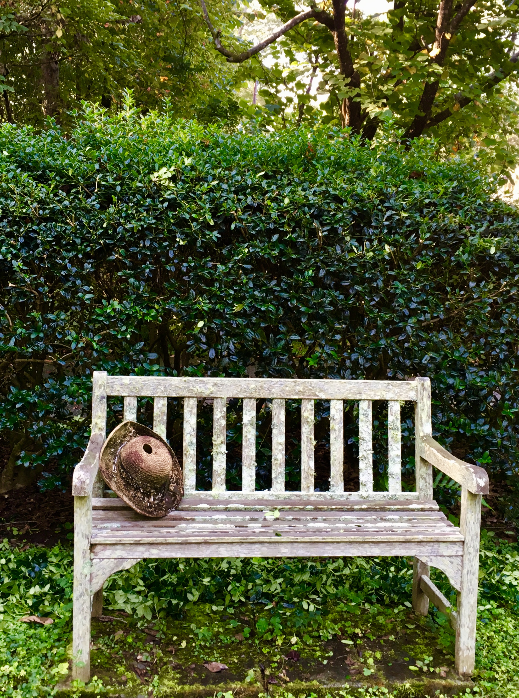 82EF6299-6536-4585-89C5-B974EEE7B2D6