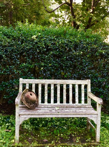 82EF6299-6536-4585-89C5-B974EEE7B2D6