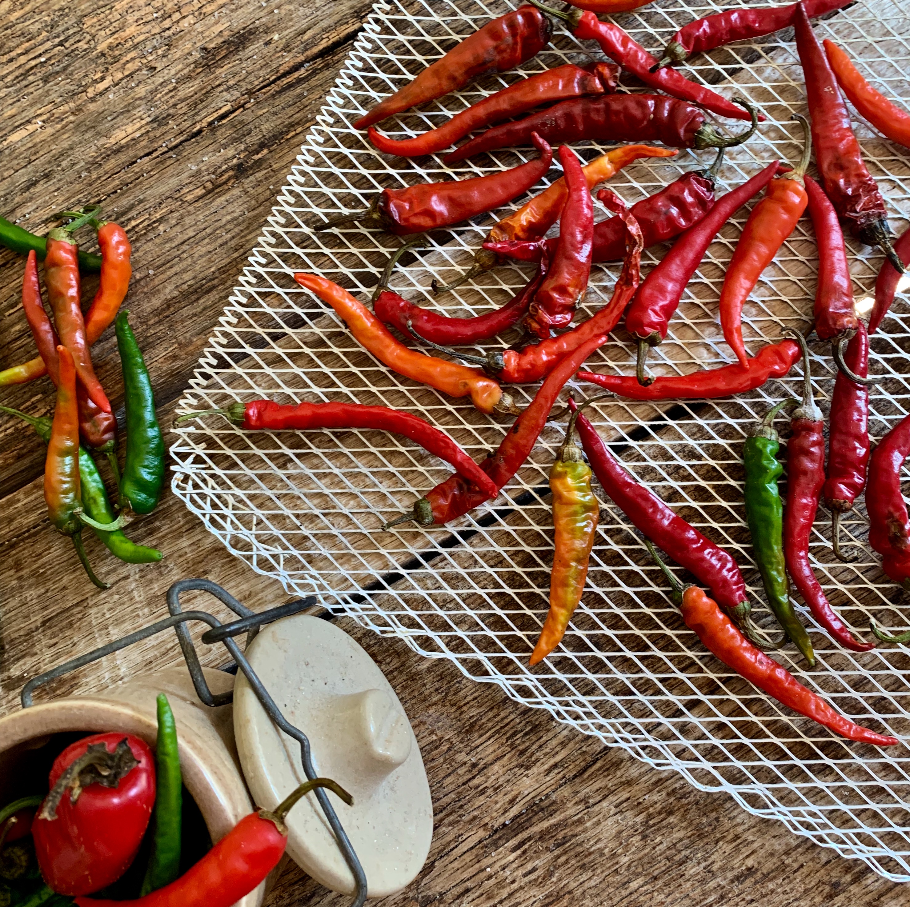 E86E4D33-A76C-45C7-8B52-B7076A637023