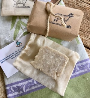 A7E96E71-09FC-4A40-9800-65A4AB01F5F0