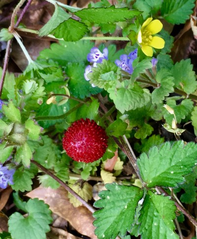 A4051FF8-E743-468A-AEC2-078415677988