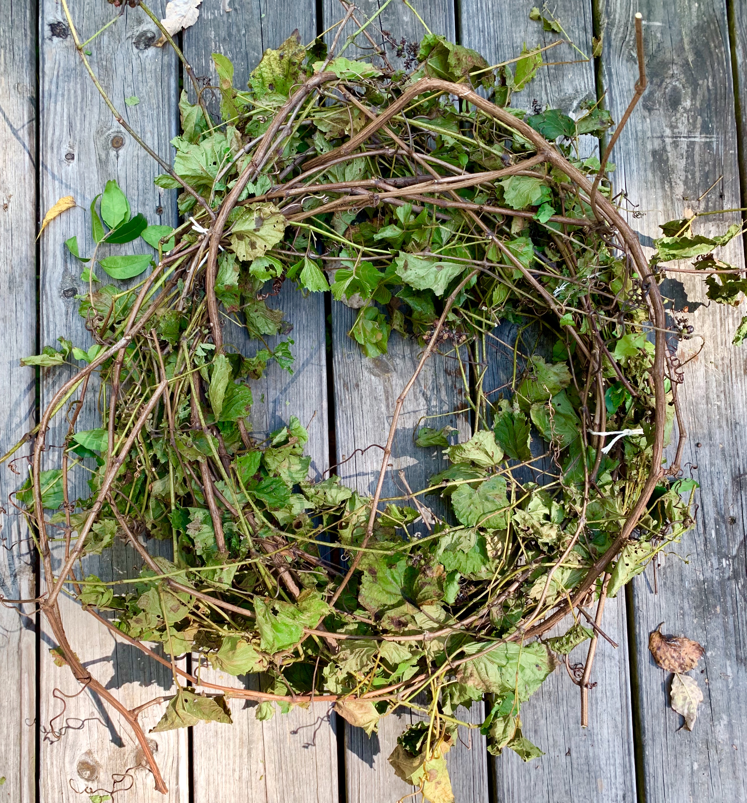 D26F917D-763D-4884-A430-0EFC92310ABA