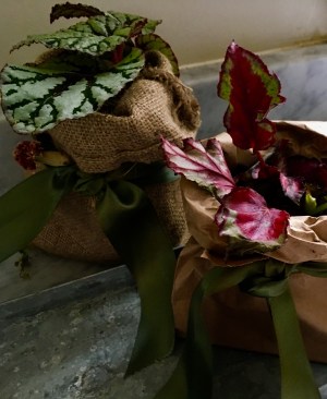 988986C5-5E7A-4524-B7C5-A0DA2310EB6E