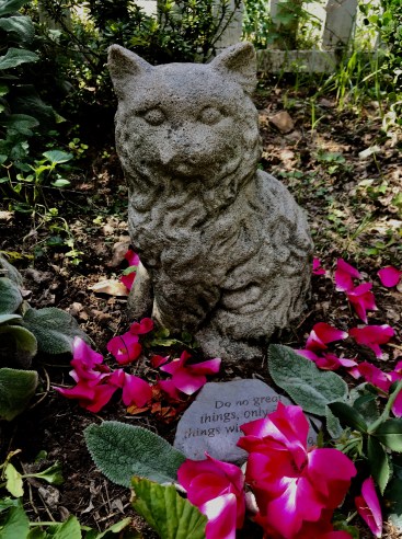 C72C813D-0039-4267-BD1D-FEA018DD4E86