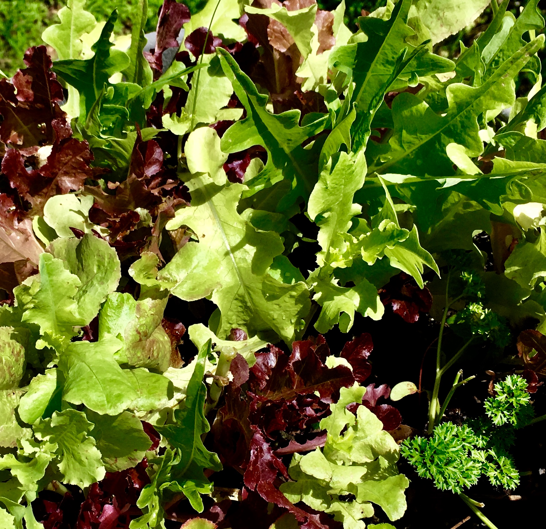 66E21BDD-14CF-4E99-8DF2-521DFDEB8B89