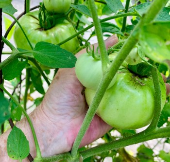 E2C9EC81-455C-4901-89C7-EB479A3E1320