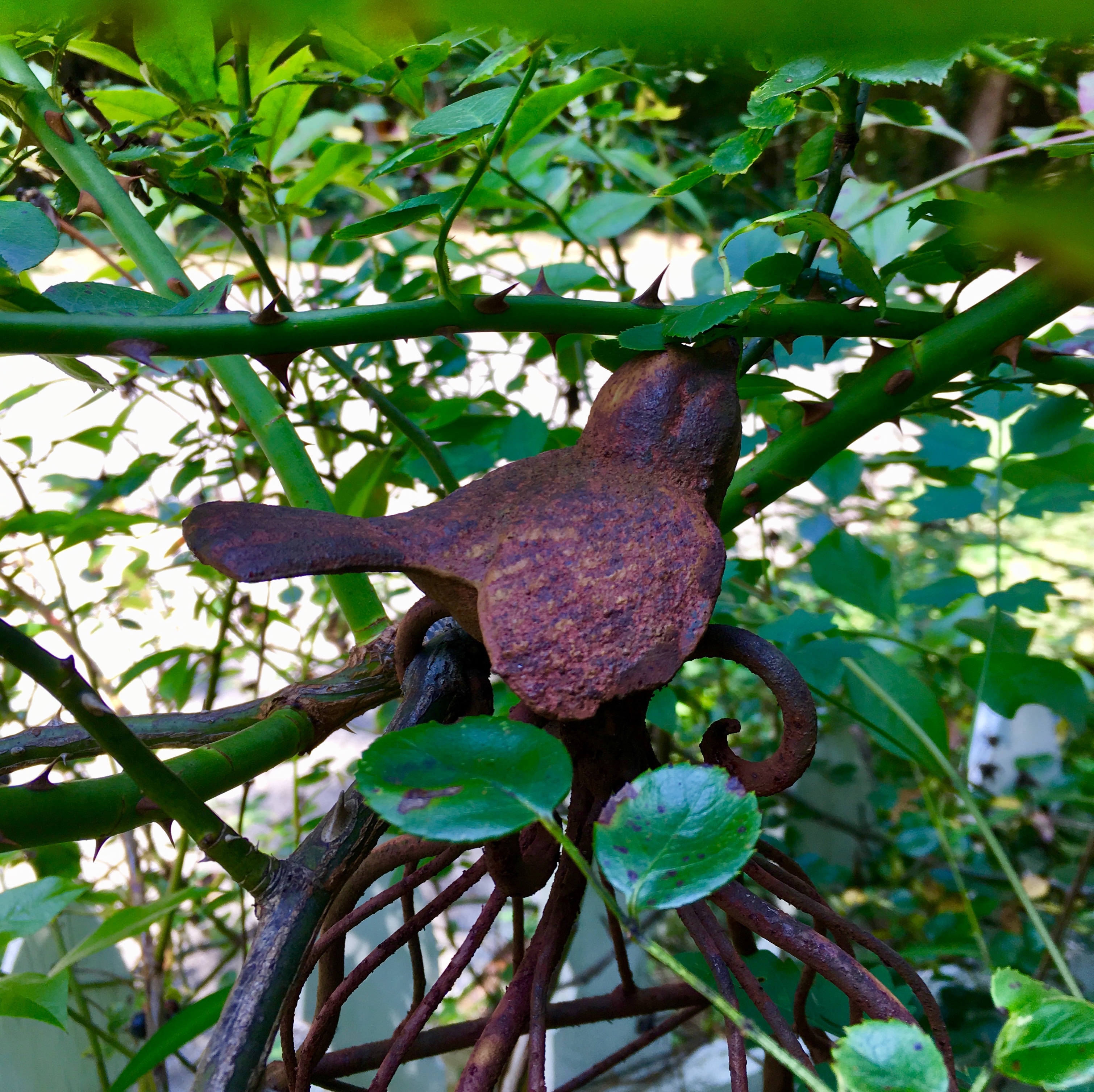 1040EFD8-827B-426C-AFEA-DDB9B4429969