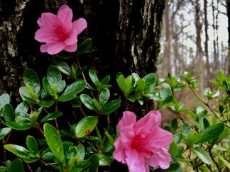 B4A154E7-B044-424C-8ABD-14285FFE8CA7