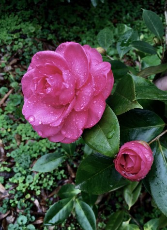 B2760811-B63E-4AED-BF05-FB6A0C0567C1