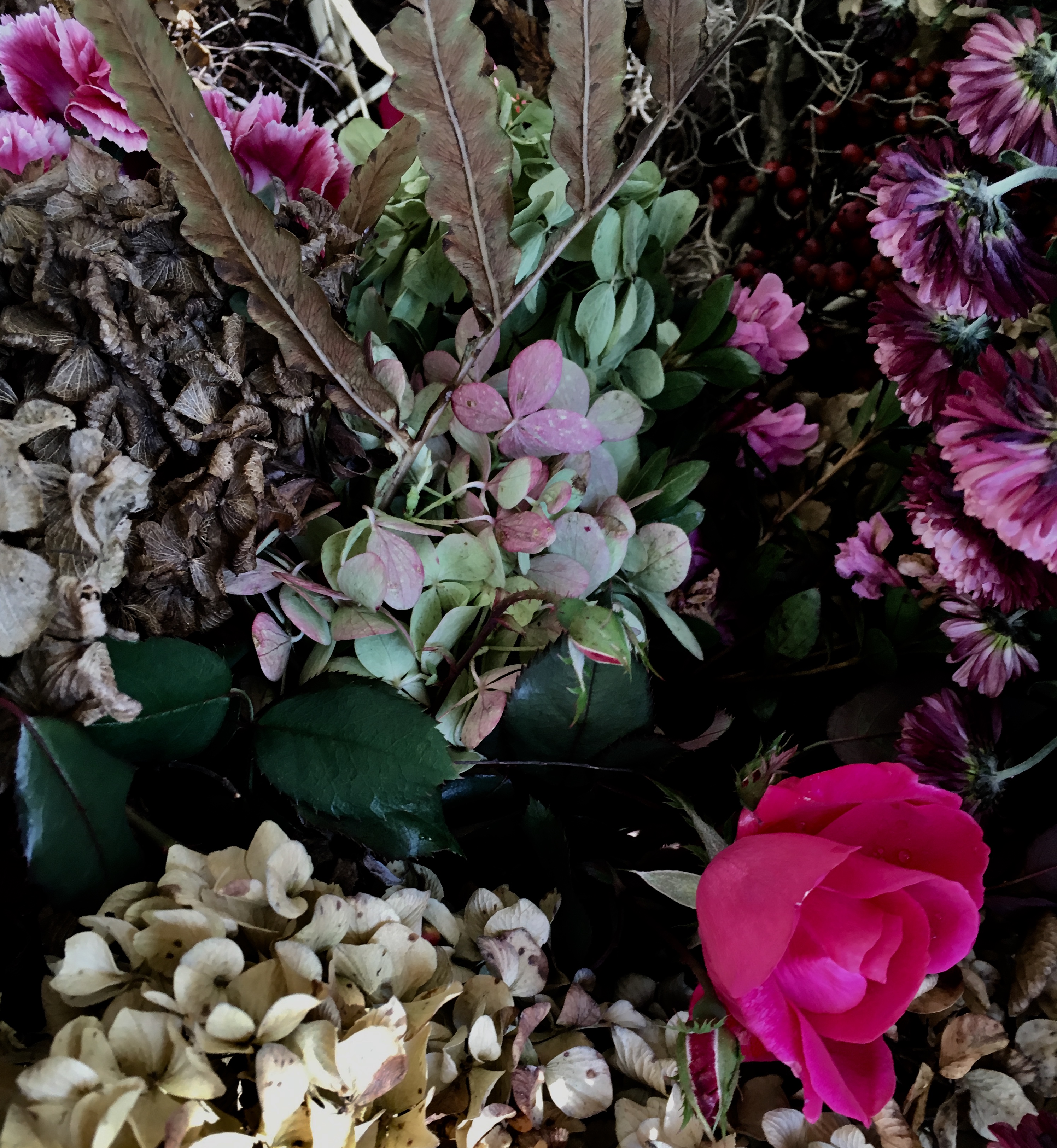 5FF5A447-644E-4BFB-8196-1109CCDF5427