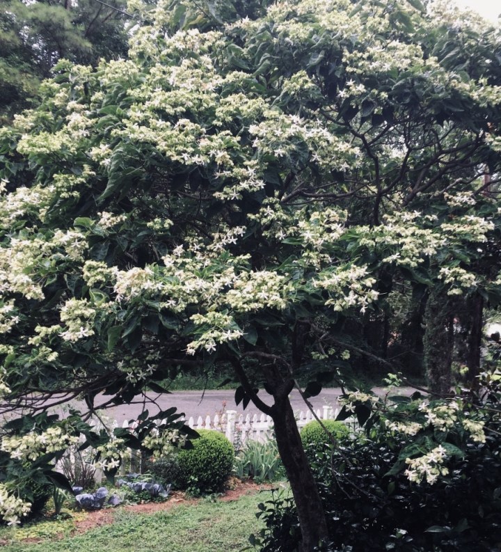 2E54E24D-A800-45F0-AD06-31F7BF2B987D