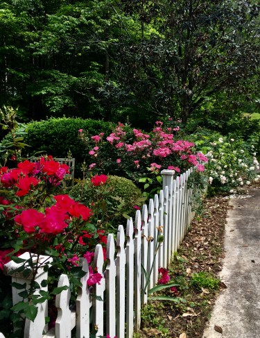 E5345747-53BA-4FBC-ACD5-07CE39E9AA4C