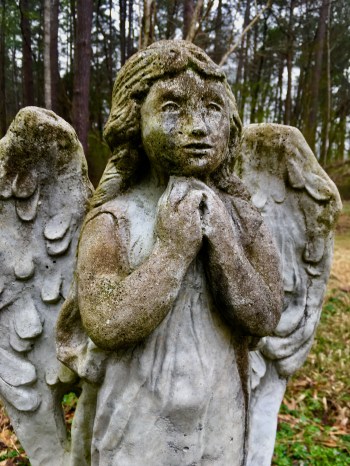 006CD037-D4B8-4F22-84E0-D092A1D064D4