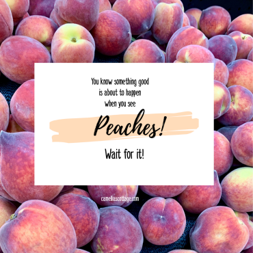 01C44C29-11CA-4629-80C7-597024457180