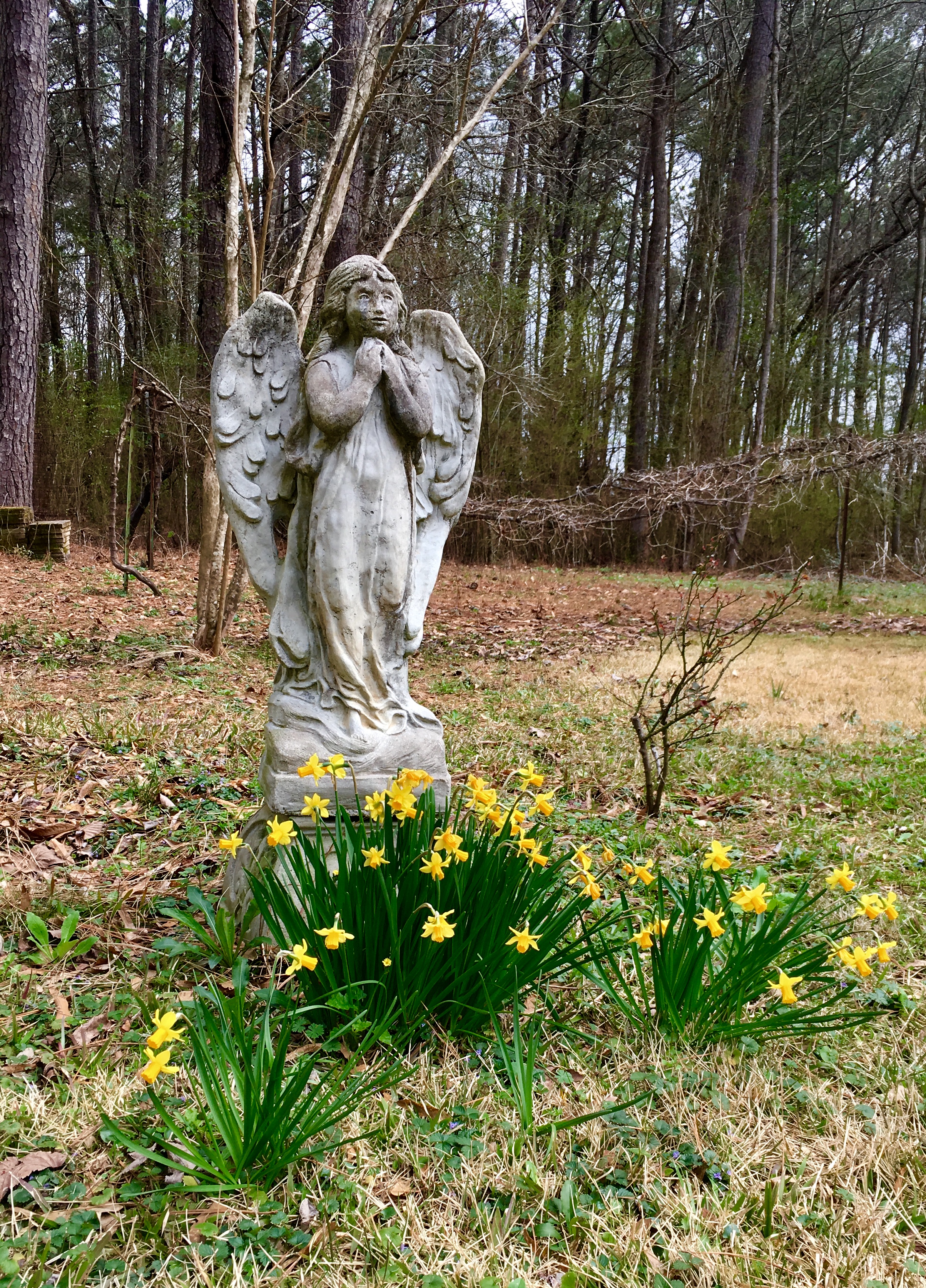 10A4D15A-1A5D-453F-96FF-7F7D6AC6325B