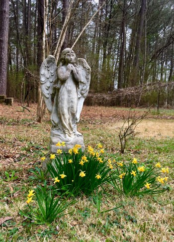 10A4D15A-1A5D-453F-96FF-7F7D6AC6325B