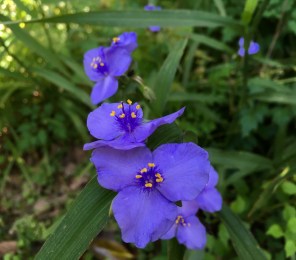 C85AFD07-43D8-4885-BDF0-61350C33BC6F