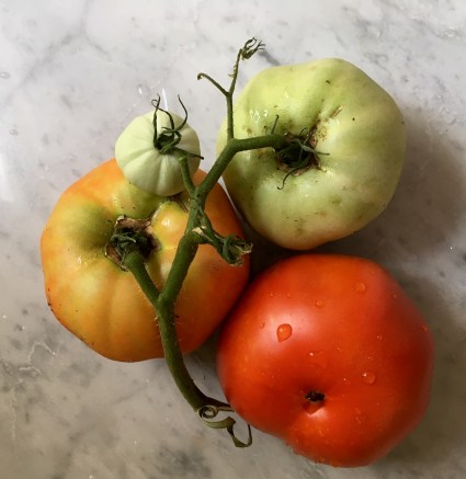 70853A62-5688-42A3-8CFD-C0DAE8E348BF