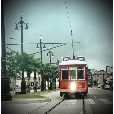 AC60639D-DD65-46E7-9C1A-A708C5968BF7