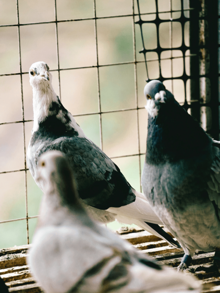 Perspective. Looking back? or Forward facing? 